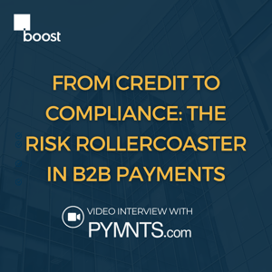 From Credit to Compliance: The Risk Rollercoaster in B2B Payments